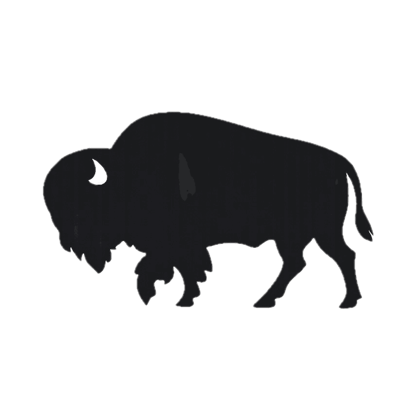 Running Buffalo Realty